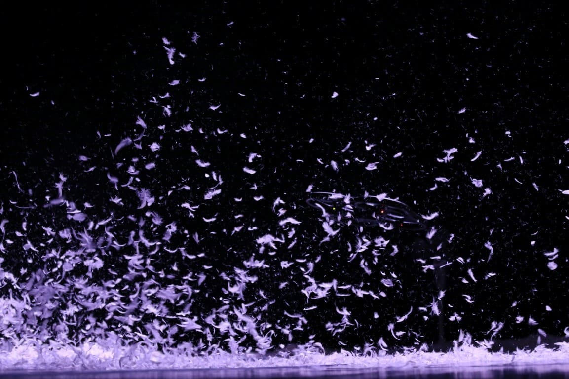 Le foto della giornata dell’8 agosto a Civitanova Danza